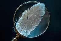 White delicate feather under magnifying glass on dark background with blue glow, macro photography showing intricate details and texture of plumage.