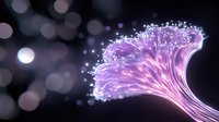 Glowing purple fiber optic strands spreading in fan shape against dark background with bokeh lights, creating magical ethereal effect for technology concepts.