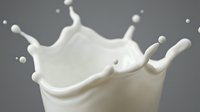 White milk splash with dynamic droplets and crown formation against gray background for dairy and beverage advertising campaigns.