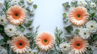 Peach gerbera daisies and white chrysanthemums with silver dollar eucalyptus leaves arranged on white background, creating fresh floral composition for wedding decor.