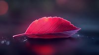 Vibrant red autumn leaf floating on dark water surface with bokeh light effects and reflections creating dreamy atmospheric nature macro photography.