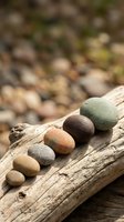 Smooth stones arranged in gradient color progression on weathered driftwood log with blurred rocky background. Suitable for wellness, meditation, nature, and mindfulness design projects.