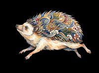Decorative hedgehog with ornate patterned quills isolated on transparent background, ready for t-shirt design, clipart, stickers, sublimation and print-on-demand projects.