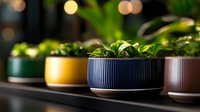 Modern ceramic planters with green houseplants arranged on dark shelf against blurred bokeh lights, creating cozy home decor atmosphere.