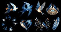 Swallows and blue birds isolated on transparent background, ready for t-shirt design, clipart, stickers, sublimation and print-on-demand projects.