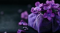 Purple hydrangea flowers arranged on dark fabric gift wrapping with scattered petals against black background, creating romantic and elegant composition.