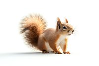 Red squirrel with fluffy tail isolated on white background, side view of wild animal in alert pose looking to side, ready for design and commercial use.