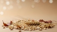 Oat grains scattered with wheat ears and autumn leaves on warm beige background with soft bokeh lights for healthy breakfast and harvest concepts.
