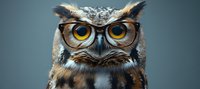 Great horned owl wearing retro eyeglasses against blue background, close up portrait showing wisdom and intelligence concept for educational designs.
