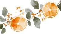 Fresh orange slices with green leaves and small orange berries create an elegant botanical composition on white background, suitable for kitchen decor and packaging design.