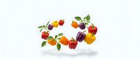 Fresh colorful vegetables arranged in circular pattern with green leaves on white background. Healthy organic produce for cooking and nutrition concepts.