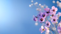 Delicate pink spring flowers against soft blue background, shallow depth of field creates dreamy floral composition with bokeh effect. Nature macro photography.