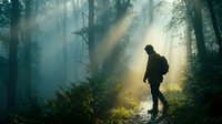 Silhouette of a hiker with backpack walking through misty forest with golden sunlight filtering through trees and fog.