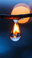 Glowing water drop hanging from branch captures sunset light with magical refraction effect, creating natural lens with orange and blue colors in macro photography.