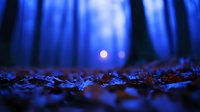 Mystical moonlit forest scene with fallen autumn leaves in foreground, illuminated by bright full moon through misty blue trees creating ethereal atmosphere.