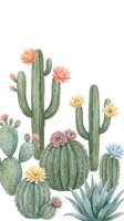 Watercolor cactus collection with blooming flowers on white background. Desert plants including saguaro, barrel cactus, prickly pear and agave for botanical designs.