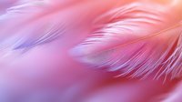Delicate white feather macro on pink and purple gradient background with soft focus and dreamy atmosphere, creating ethereal mood for wellness designs.