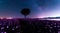Lone tree silhouette in magical purple meadow under starry night sky, glowing flowers creating ethereal landscape with city lights in distance, dreamy nature scene.