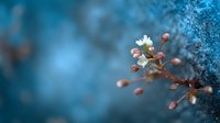 Delicate spring flower buds emerging from textured bark against soft blue bokeh background, symbolizing new beginnings and seasonal growth in nature.