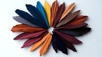 Colorful feathers arranged in circular pattern on white background showcase vibrant autumn and jewel tones, isolated for creative design projects and decorative use.