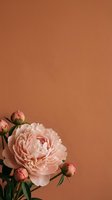 Pink peony in full bloom with buds against a warm terracotta textured wall, copy space for wedding, beauty, or lifestyle branding.