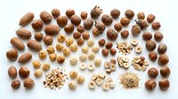 Whole and cracked almonds, hazelnuts, and cashews arranged in rows showing different stages of processing and texture variations for culinary and nutritional content.