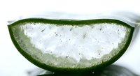 Fresh aloe vera leaf cut in half showing clear gel interior with water droplets on white background isolated for natural skincare and wellness designs.
