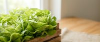Fresh green lettuce leaves arranged on wooden cutting board in bright kitchen setting for healthy cooking and meal preparation.