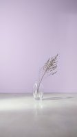 Minimalist dried pampas grass stem in clear glass vase against soft purple wall background for modern interior design and home decor styling.