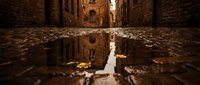 Narrow alley with wet cobblestone street reflecting historic brick buildings after rain, autumn leaves scattered on ground, moody atmospheric urban scene.