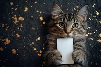 Adorable tabby kitten holding white milk glass with paws on dark background with golden bokeh lights creating warm cozy atmosphere for pet care advertising.