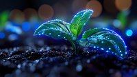 Young green plant seedling growing in soil with magical glowing sparkles and bokeh lights creating mystical nature atmosphere in dark background.