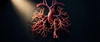 Human lungs anatomy with bronchial tree structure highlighted in red against dark background for medical education and healthcare presentations.