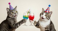 Two tabby cats wearing colorful party hats hold cocktail glasses together in celebration, perfect for festive greeting cards, party invitations, and humorous social media content.