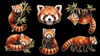 Cute red panda set with six poses, isolated on transparent background. Great for stickers, t-shirt design, clipart, print on demand, and sublimation projects.
