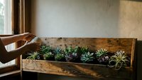Rustic wooden planter box filled with various succulent plants on windowsill creating natural indoor garden display for home decor and plant styling.