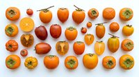 Colorful persimmon fruits collection showing whole and sliced orange kaki persimmons arranged in rows on white background for healthy eating concepts.