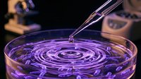 Laboratory pipette dropping purple liquid into petri dish creating ripples in scientific research experiment for medical testing and analysis.
