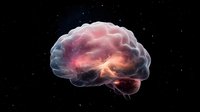 Translucent human brain floating in cosmic space with glowing inner neural activity and nebula-like colors against starry black background.