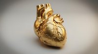 Golden anatomical human heart model with detailed vascular structure on neutral background for medical education and healthcare presentations.