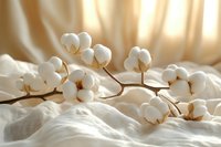 Delicate cotton flowers on brown stems laying on soft white fabric with warm golden sunlight creating gentle shadows and dreamy atmosphere.