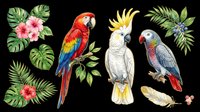 Tropical parrot and flower clipart set isolated on transparent background. Includes colorful macaw, cockatoo, and palm leaves. Ready for t-shirts, stickers, sublimation, and print-on-demand designs.