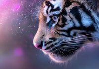 Close up profile of majestic tiger head with bright blue eyes against magical pink and purple bokeh background with glowing sparkles and dreamy atmosphere.