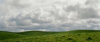 Rolling green hills under dramatic cloudy sky, lush grassland landscape for nature and environmental design projects.