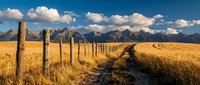 Golden wheat field with wooden fence posts leading to majestic mountain range under dramatic cloudy sky. Rural farming landscape perfect for agriculture concepts.