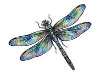 Colorful dragonfly with iridescent wings featuring blue, green, and gold tones, isolated on white background. Suitable for nature designs, educational materials, and decorative applications.