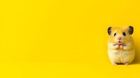 Curious golden hamster looking at camera on vibrant yellow background, minimal composition with copy space for text or design elements.