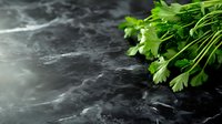 Fresh green parsley bunch on dark marble background with dramatic lighting and copy space. Culinary herbs for cooking and garnishing food.