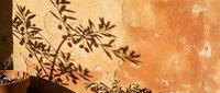 Plant shadow silhouette on textured orange wall creates natural lighting effect for interior design and architectural photography projects.
