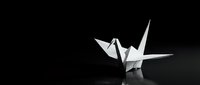White origami paper crane on black background with dramatic lighting and reflection creating minimalist artistic composition for design projects.